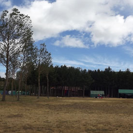 Campas

